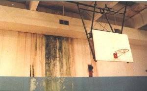 green mold streaking down a walll in an old basketball gym